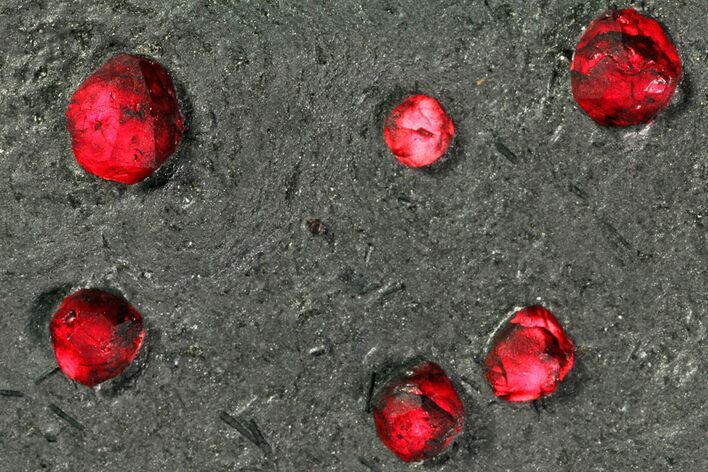 Plate Of Red Embers Garnets in Graphite - Massachusetts #114175